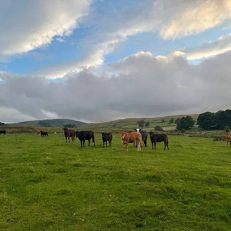 Wild Boar Barn * Bampton (Cumbria)