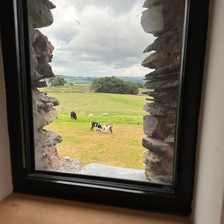 Wild Boar Barn Бамптон