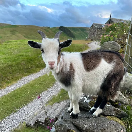Wild Boar Barn Holiday home *