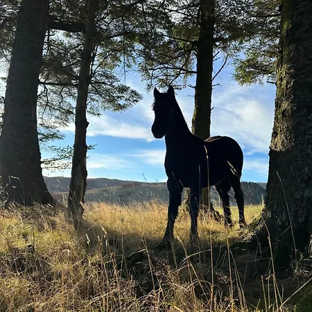 Wild Boar Barn Holiday home